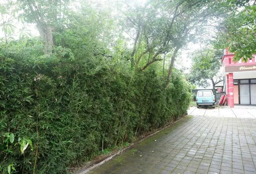 Hotelli Reddoorz Near Alun Alun Wonosobo 2