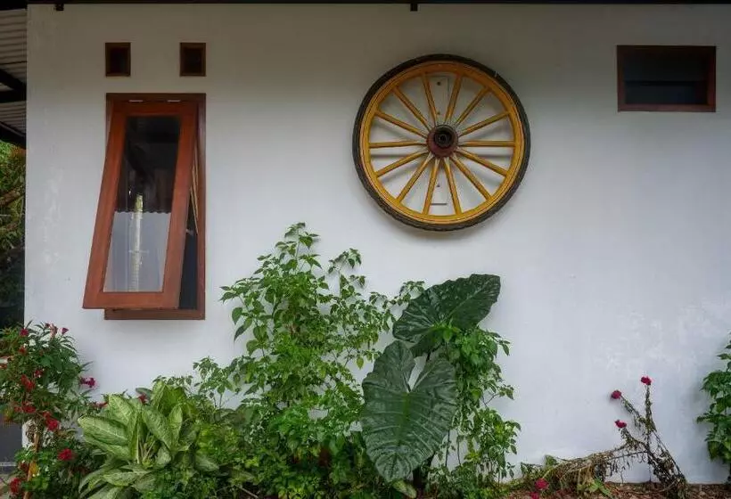 Hotelli Reddoorz Near Alun Alun Wonosobo 2