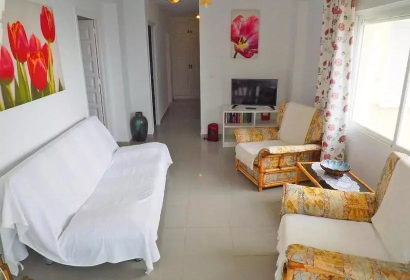 Apartamentos Intercentro Algarrobo Costa Apartamentos Turísticos  Inmobiliaria