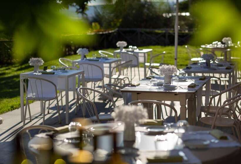 Отель Fontebella