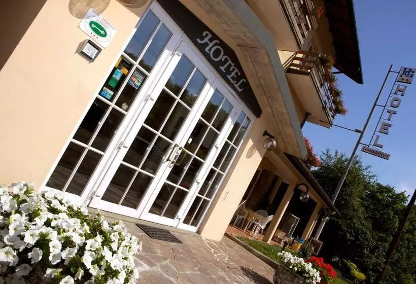 Отель Gambrinus