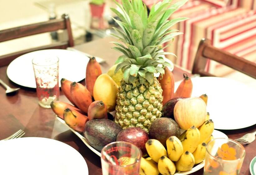 Ashley And Bill S Suites N Garden Hotel And Vacation Homes