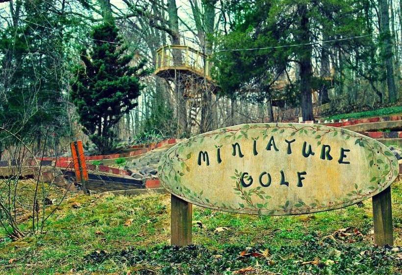 فندق Wilderness Lodge