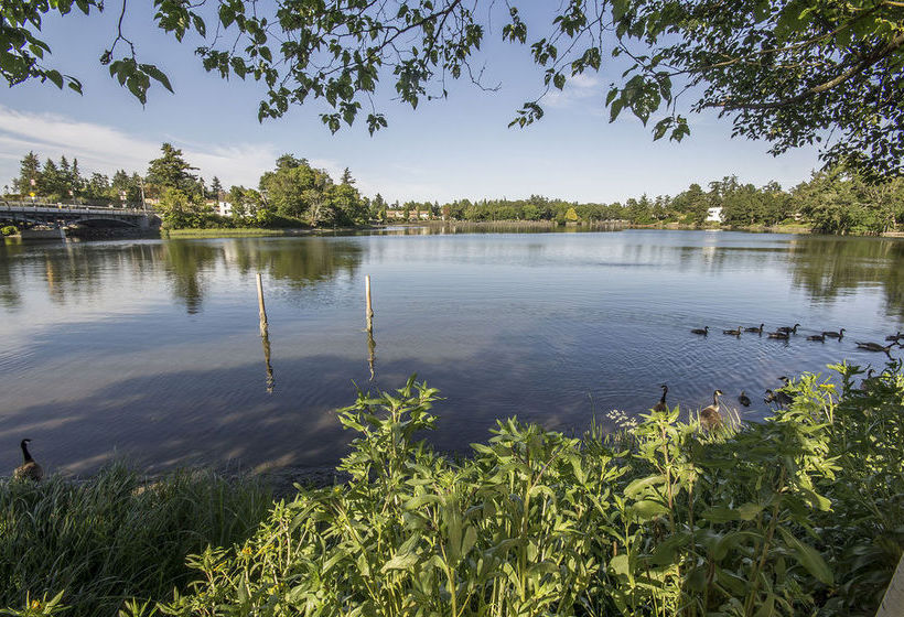 酒店 Econo Lodge & Suites