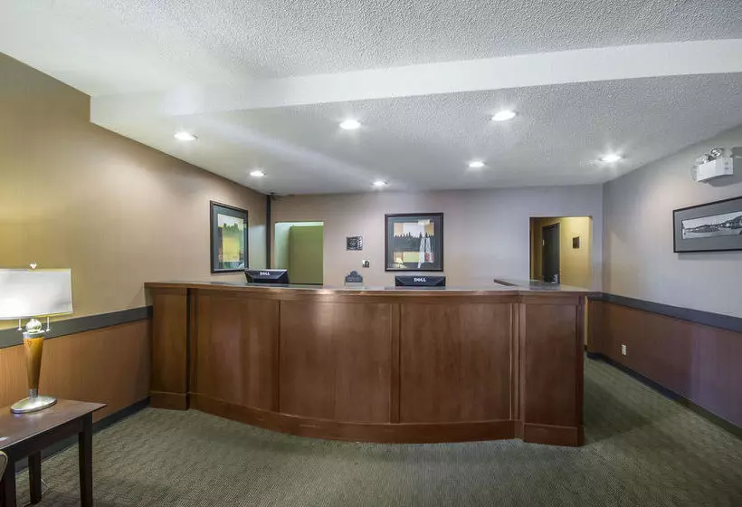 酒店 Econo Lodge & Suites