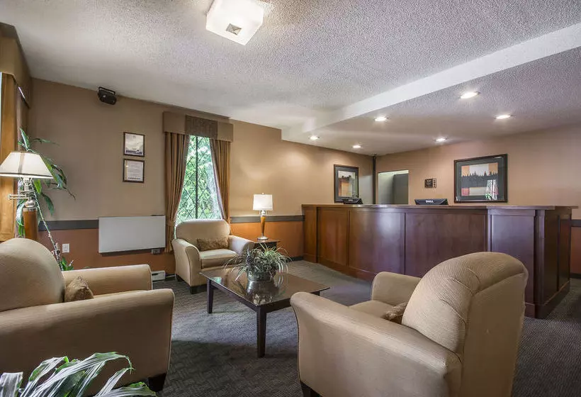 酒店 Econo Lodge & Suites