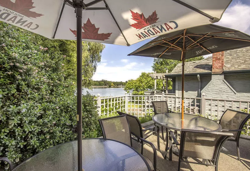 酒店 Econo Lodge & Suites