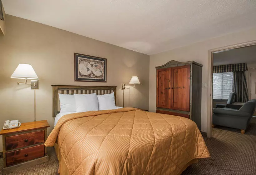 酒店 Econo Lodge & Suites