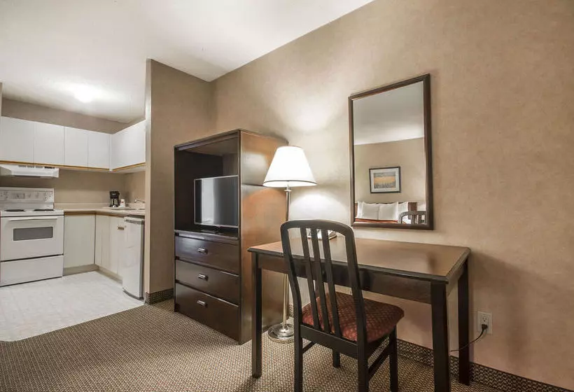 酒店 Econo Lodge & Suites