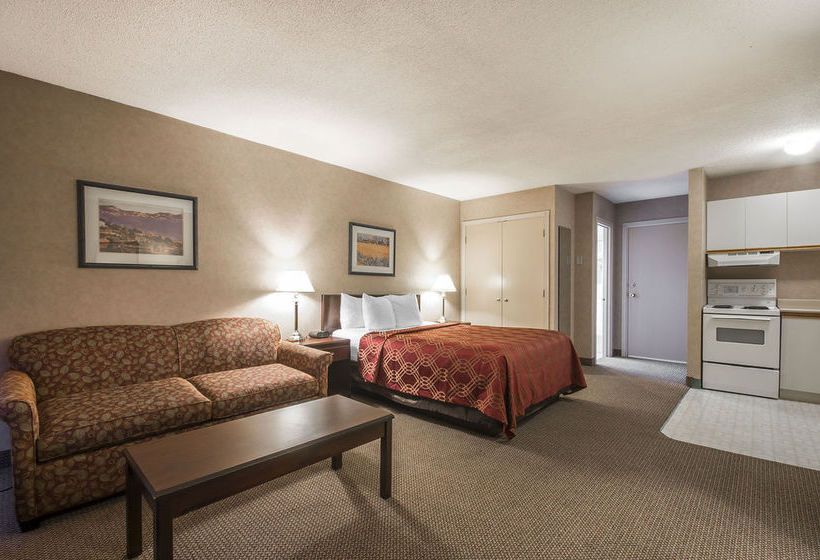 酒店 Econo Lodge & Suites