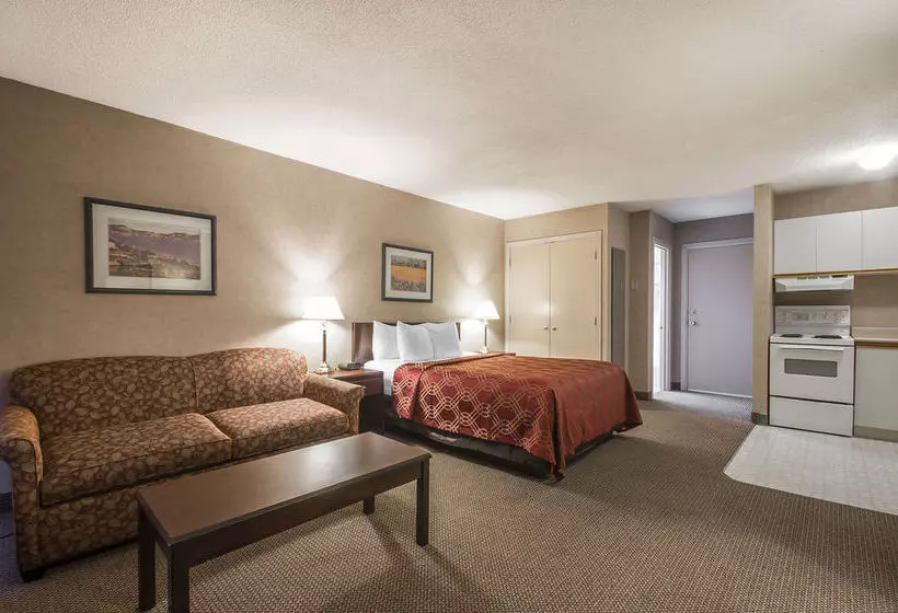 酒店 Econo Lodge & Suites