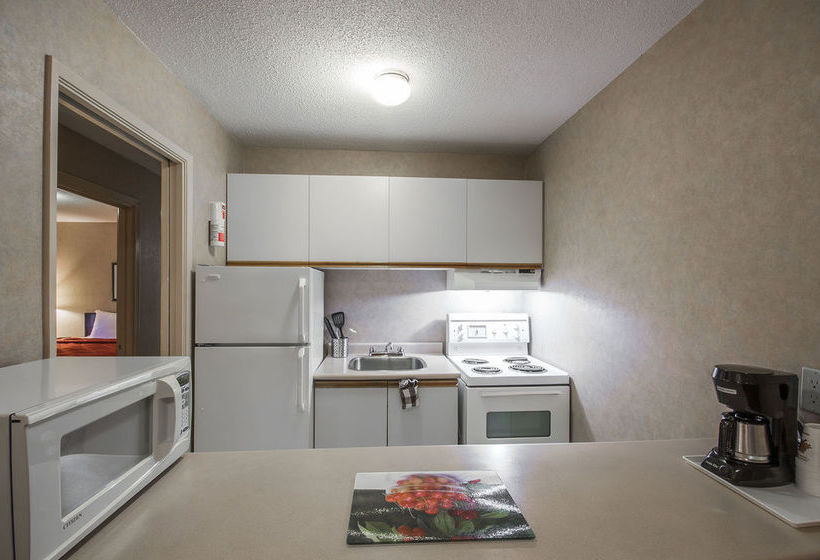 酒店 Econo Lodge & Suites