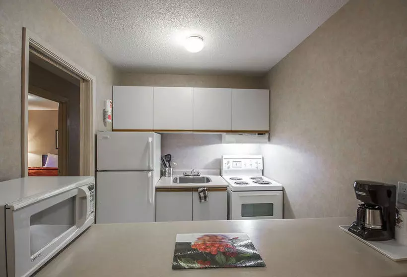 酒店 Econo Lodge & Suites