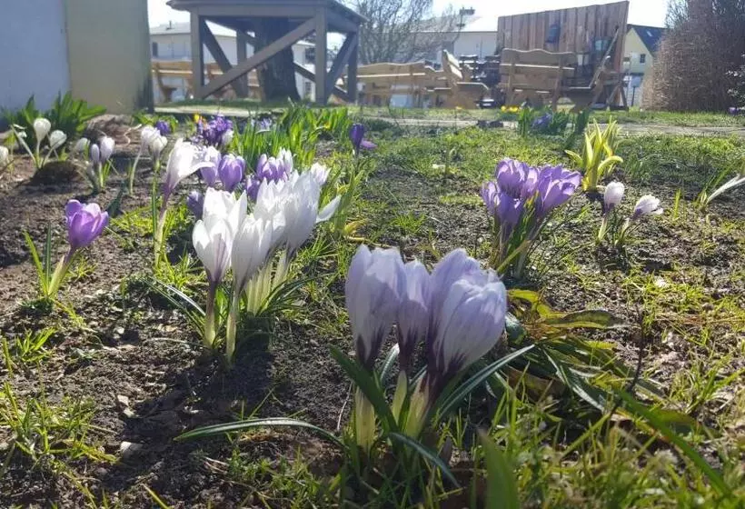 酒店 Idyll Am Wolgastsee