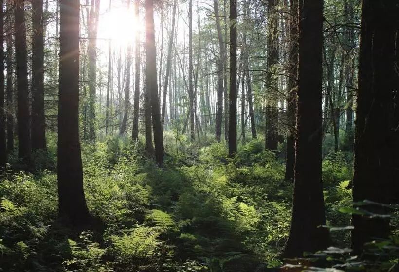 酒店 Idyll Am Wolgastsee