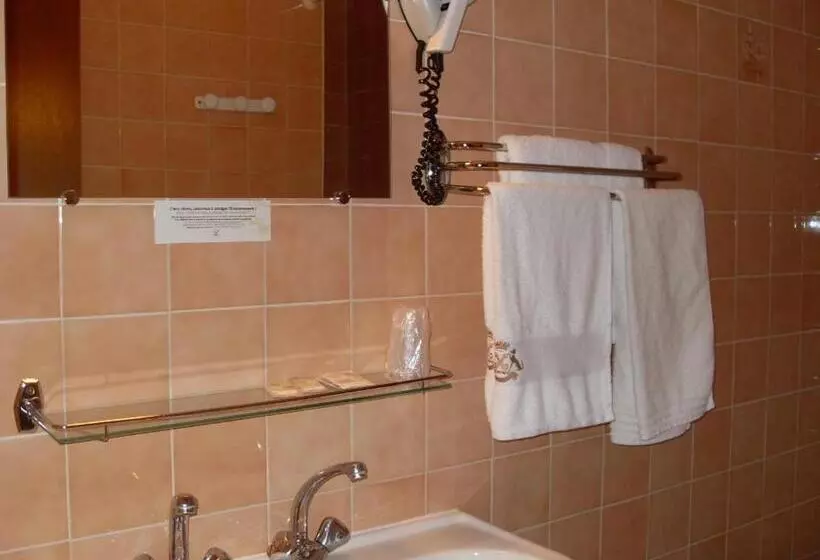 酒店 La Boule d'Or