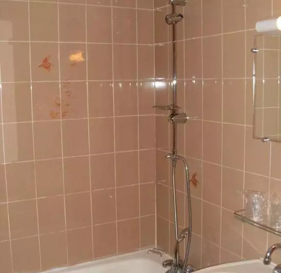 酒店 La Boule d'Or