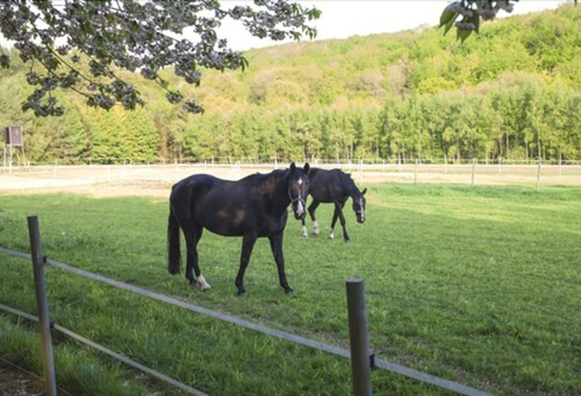Landidyll Hotel Zum Freden