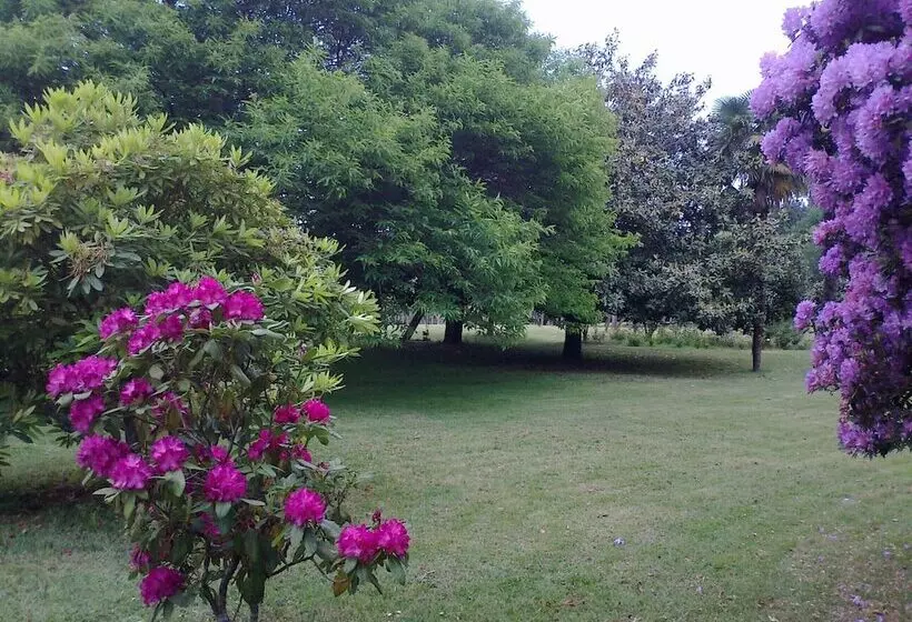 Отель Pazo Cibrán