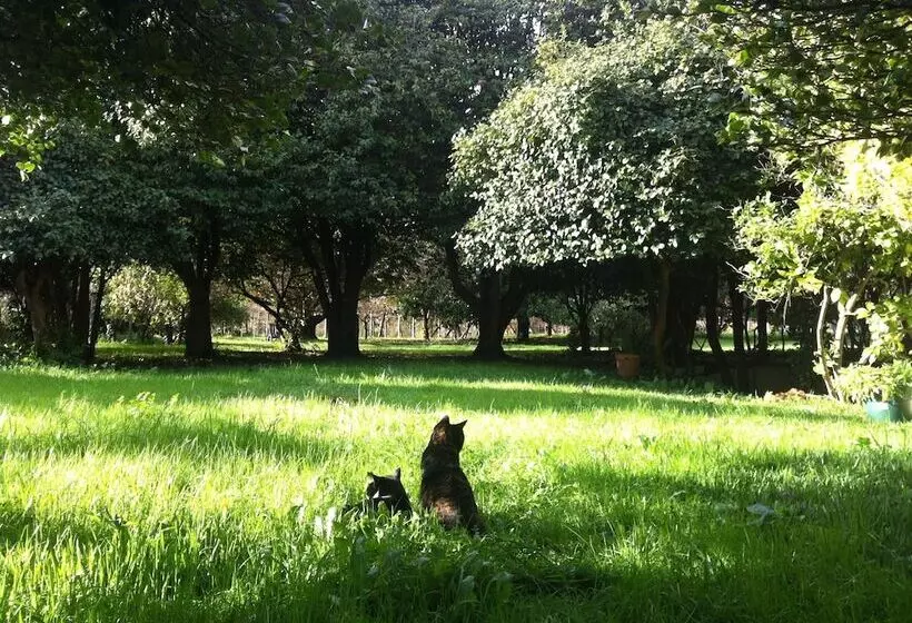 Отель Pazo Cibrán