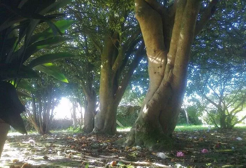 Отель Pazo Cibrán