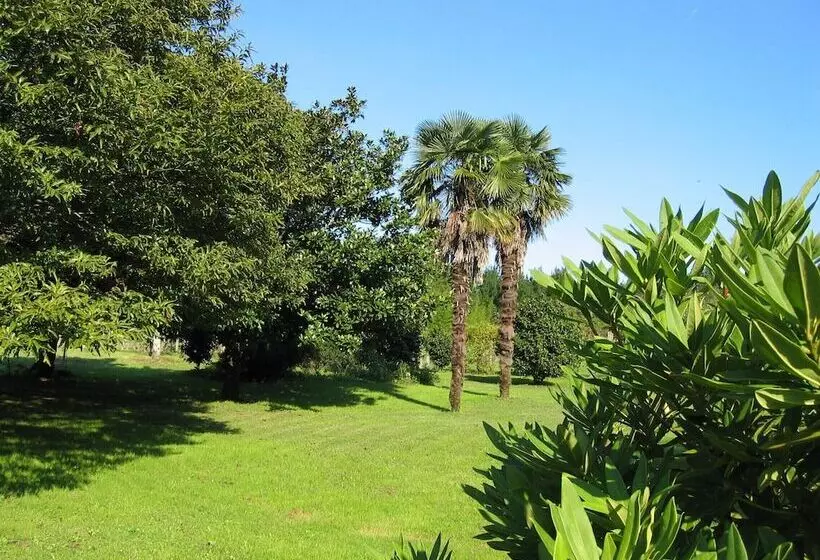 Отель Pazo Cibrán