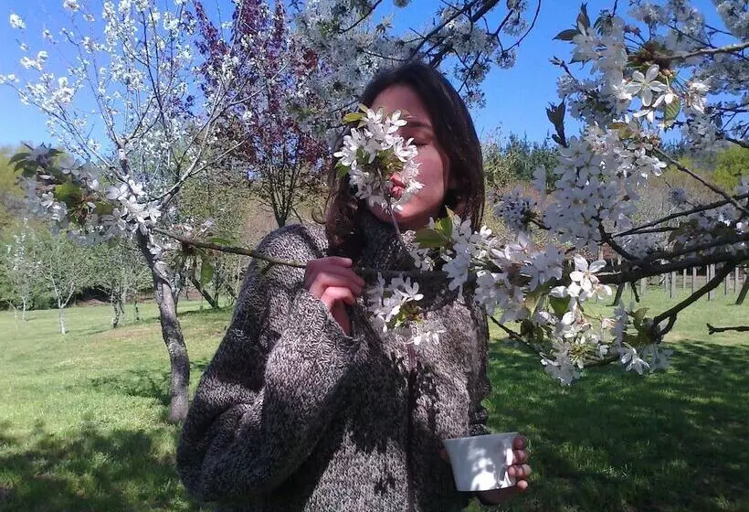 Отель Pazo Cibrán