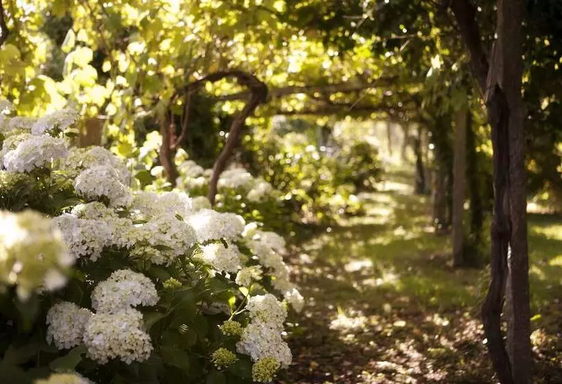 Отель Pazo Cibrán