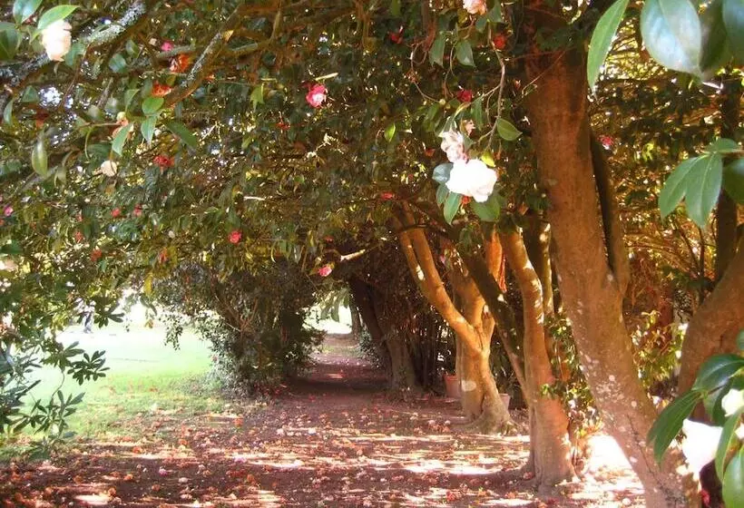 Отель Pazo Cibrán