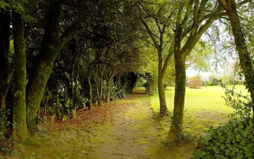 Отель Pazo Cibrán