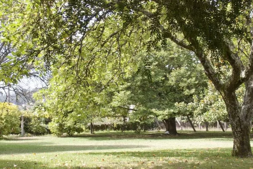 Отель Pazo Cibrán