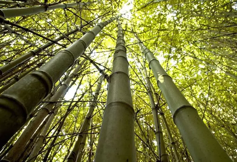 Отель Pazo Cibrán