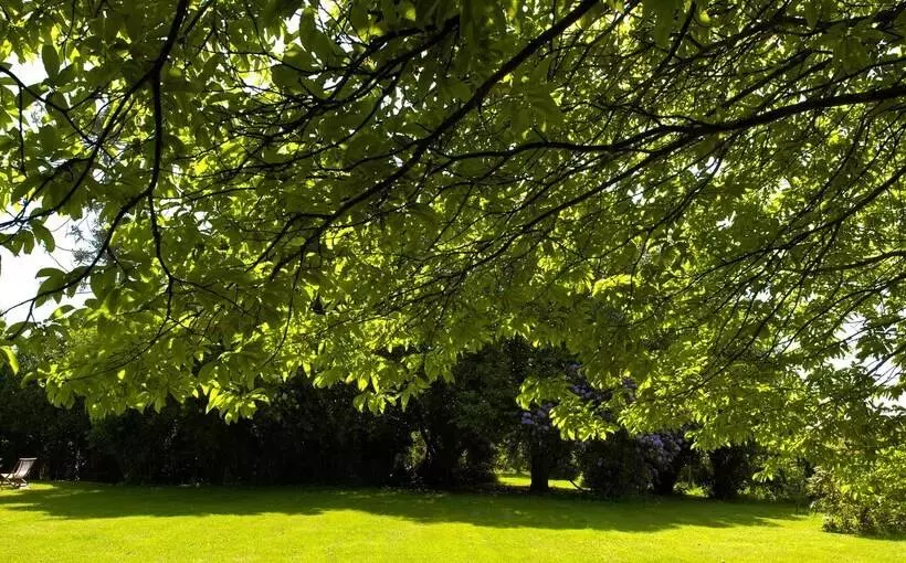 Отель Pazo Cibrán