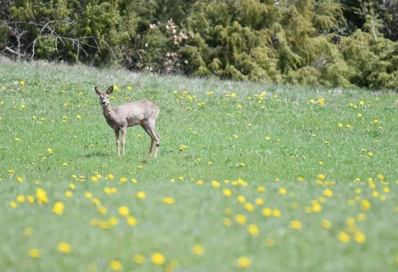 فندق Relais Du Bois Du Four