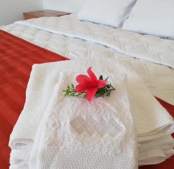 호텔 Hacienda Maxdá