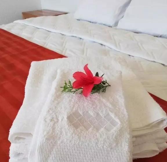 ホテル Hacienda Maxdá