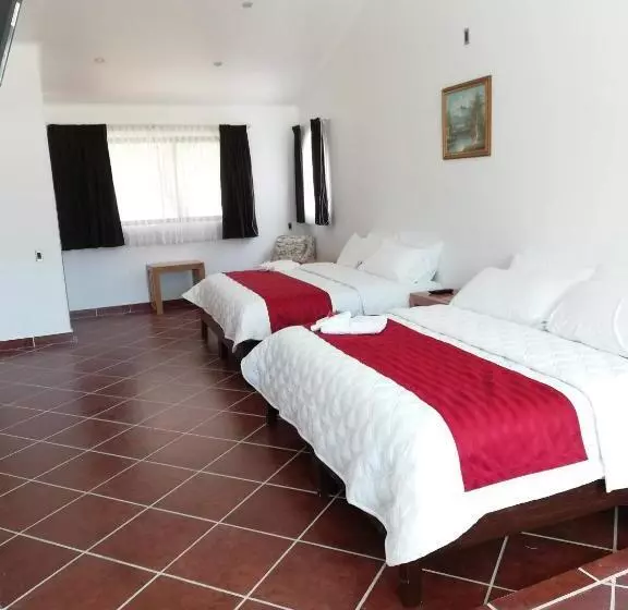 ホテル Hacienda Maxdá