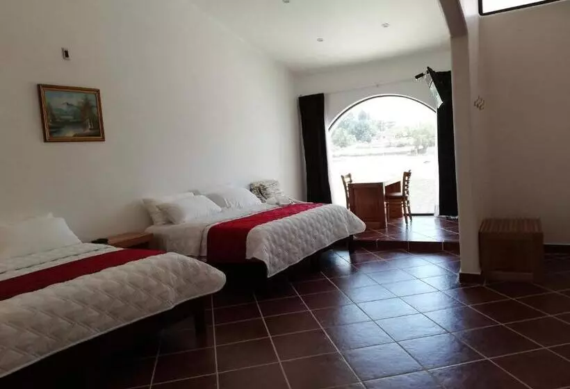 ホテル Hacienda Maxdá