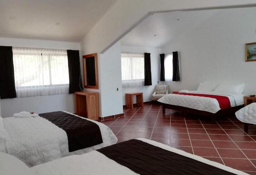 호텔 Hacienda Maxdá