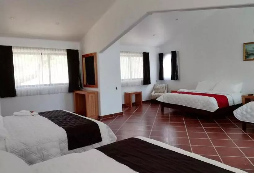 ホテル Hacienda Maxdá