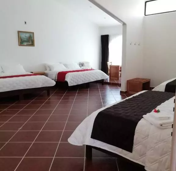 ホテル Hacienda Maxdá