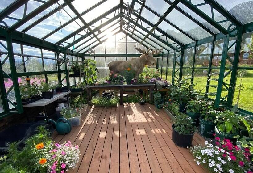 호텔 Sheep Mountain Lodge