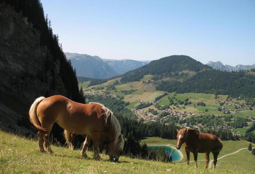 Отель Hôtel Bellachat