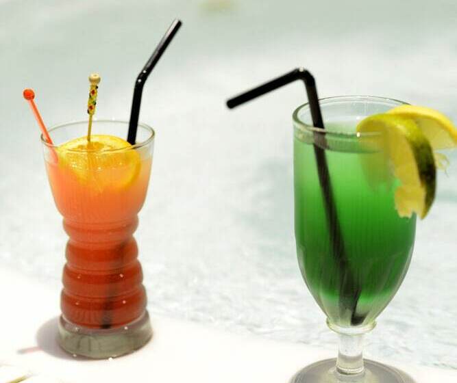 ホテル Le Bois Dormant Hôtel Restaurant & Spa Logis Hôtel