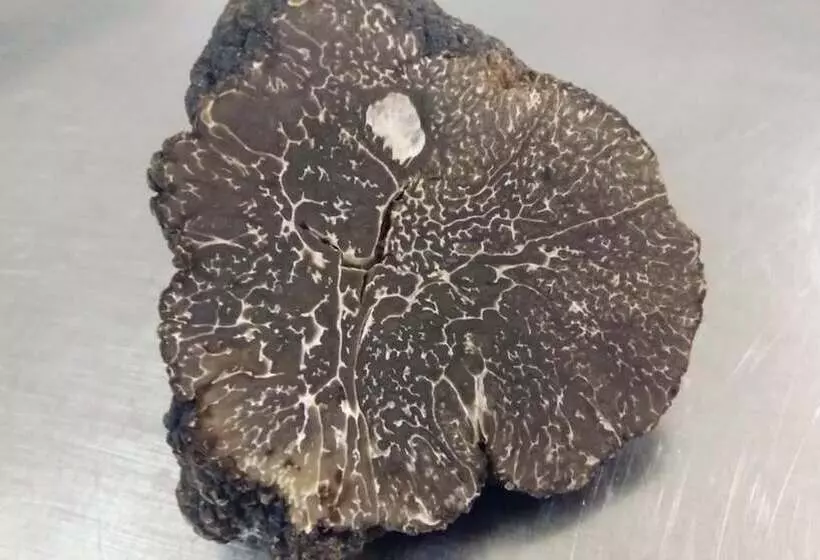 فندق Logis Auberge Le Centre Poitou