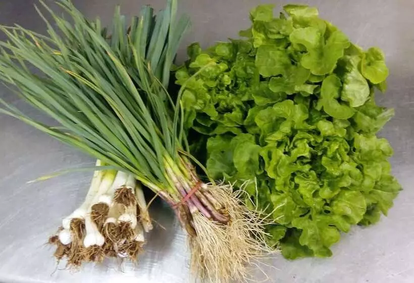 فندق Logis Auberge Le Centre Poitou