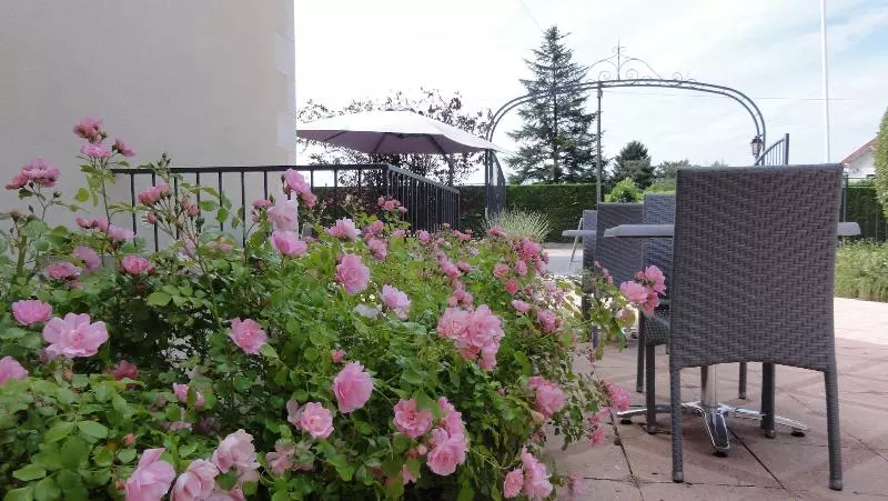 Отель Logis Hôtel Restaurant Clair Cottage, Chisseaux Chenonceaux