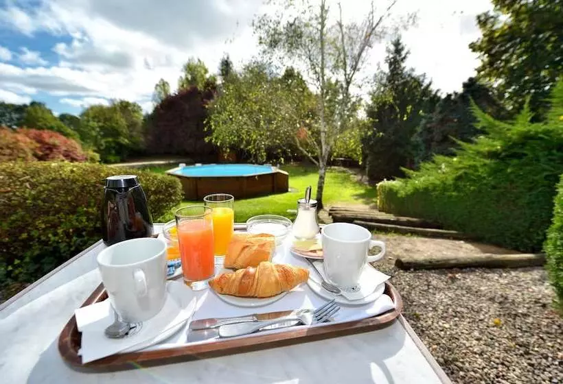 Отель Logis Hôtel Restaurant Du Lion D Argent Et Des Tanneries