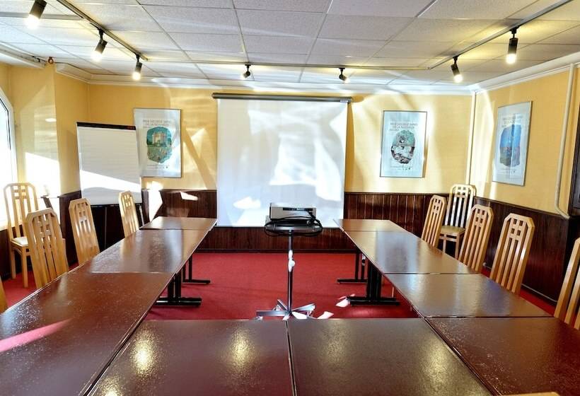 فندق Logis Hôtel Restaurant Du Lion D Argent Et Des Tanneries