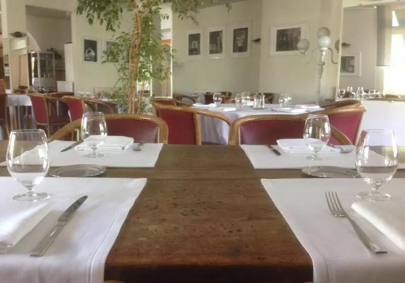 Отель Logis Hôtel Restaurant Du Lion D Argent Et Des Tanneries